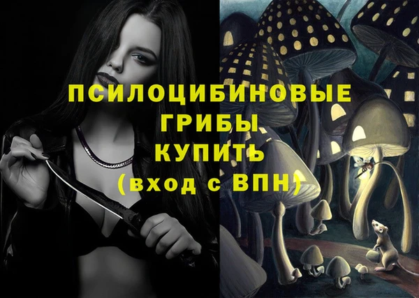a pvp Аркадак