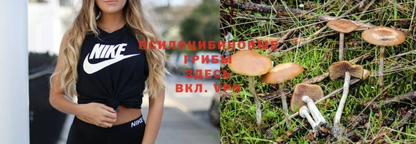 прущие крисы Арсеньев