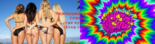 прущие крисы Арсеньев