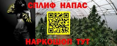 apvp Пугачёв