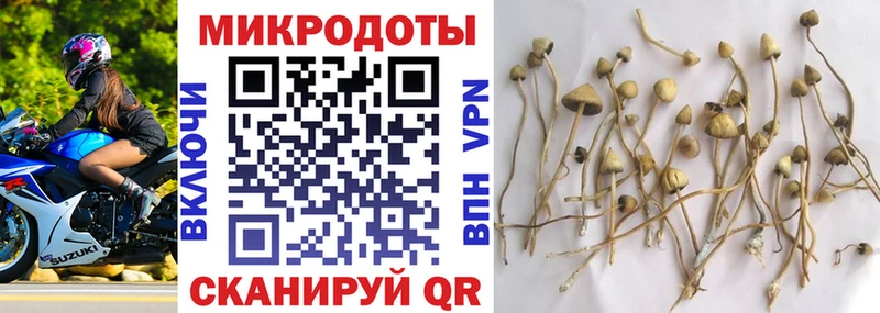 Галлюциногенные грибы прущие грибы  Светлоград 