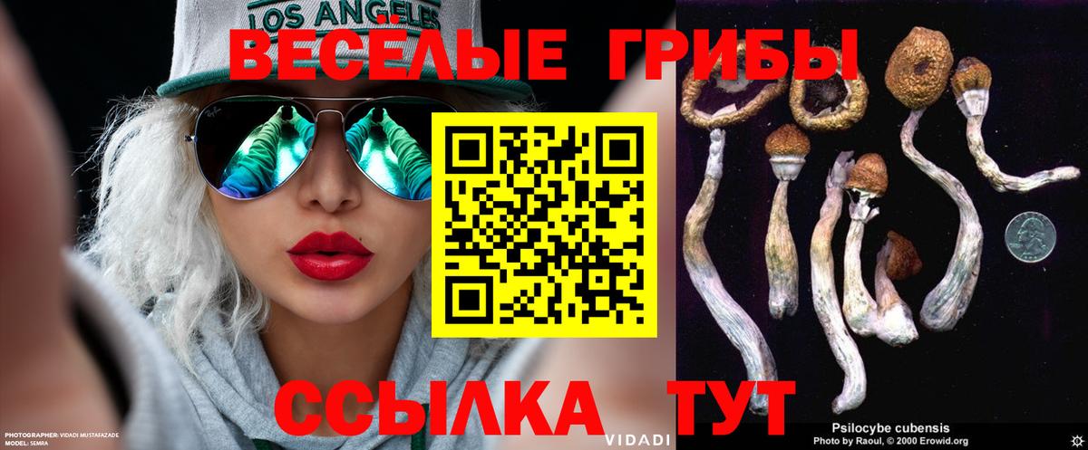 Псилоцибиновые грибы Magic Shrooms  Галлюциногенные грибы ЛСД  Вход с VPN  Светлоград 